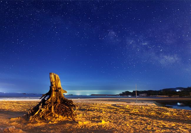 Tannan BAY